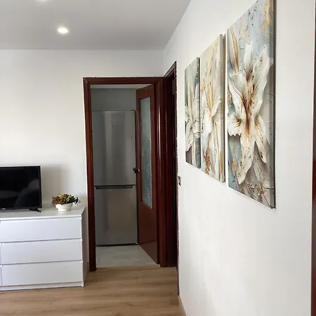 Apartment Flor De Lis Vigo