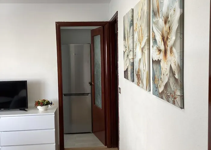 Апартаменты Flor De Lis Виго